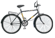 BM-79  (MTB) : Bicycle